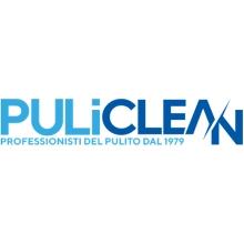 Puliclean-logo-4.png